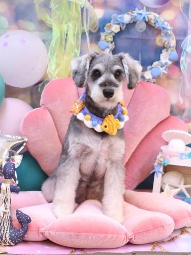 20240804蘭ちゃん